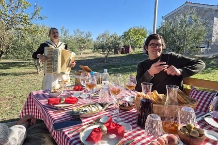 Authentic Dalmatian Wine & Olive Oil Tasting - Live Music & View