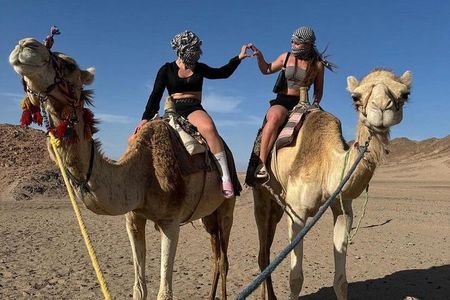 Half Day Desert Quad & jeep Safari Adventure in Hurghada