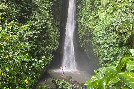 Bali Full Day Hidden Waterfalls Tour