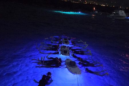 Glow of the Deep: Night Snorkeling with Manta Rays