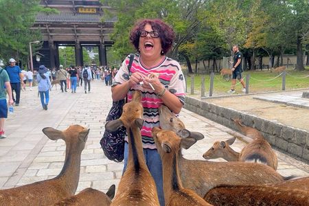 World Heritage Kyoto & Nara Uji Authentic Matcha Experience