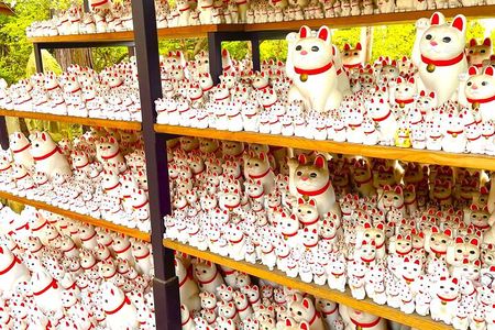 Tokyo: Gotokuji Cat Temple, Shinjuku Cat Cafe and 3D Cat PM Tour
