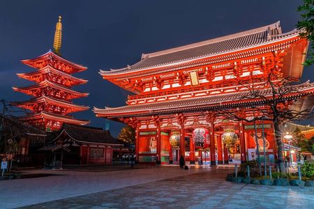 Private Customizable Tokyo City Tour with Highlights