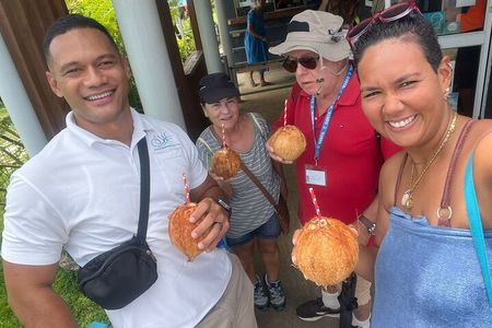 Samoa Apia: Cruise Ship Shore Excursion 