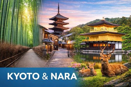 Kyoto & Nara: Private Day Tour by luxury Vehicle & English Guide