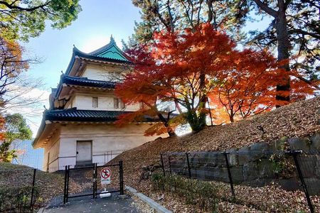 Exclusive Private Imperial Palace=Emperor&(SHOGUN)WI TOKYO NATIVE