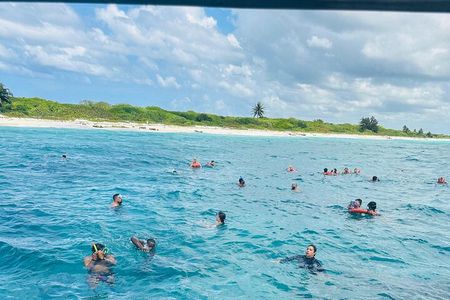 Discover Catalina Island from Punta Cana DR An Escape Journey