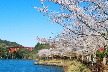 From Nagoya: Eihoji, Enakyo, Magomejuku & Tsumagojuku Day Tour