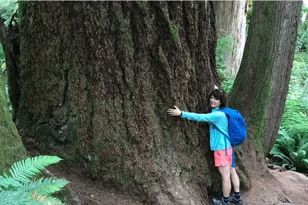 Private Twin Falls Hiking & Waterfall Tour with Treehouse Coffee