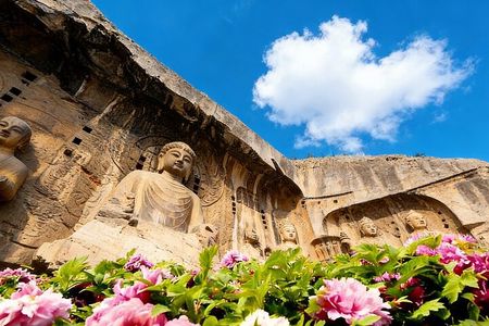 Luoyang Private Tour to Longmen Grottoes and Peony Blossom Sightseeing