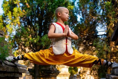 All Inclusive Luoyang Private Day Tour to Shaolin Temple and Longmen Grottoes