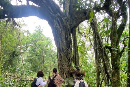 Munduk Twin Lake Jungle Trek with Sacred Forest Temples&Canoeing