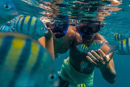 Roatán Private Snorkeling, Wildlife Park, and West Bay Beach