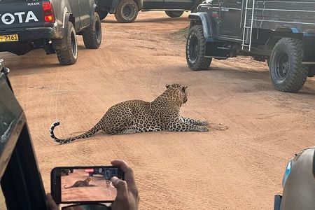 Yala Safari Private tour -4.30am to 12pm.= 44.73$