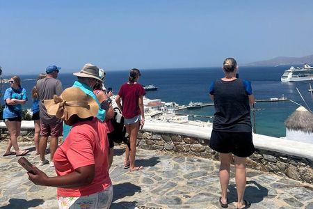 Authentic Mykonos: Private 4‑Hour Island Experience