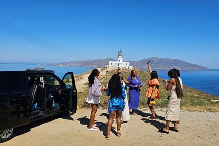 Mykonos Island Private Tour: Explore Like a Local in 4 Hours