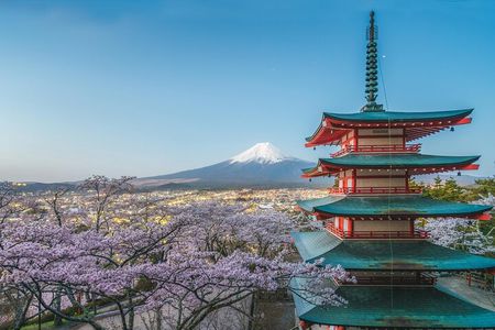 Mount Fuji Full Day Sightseeing Tour from Tokyo