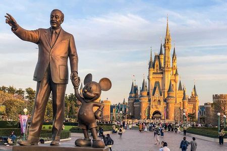 Tokyo Disney Resort Park E-Tickets with Options