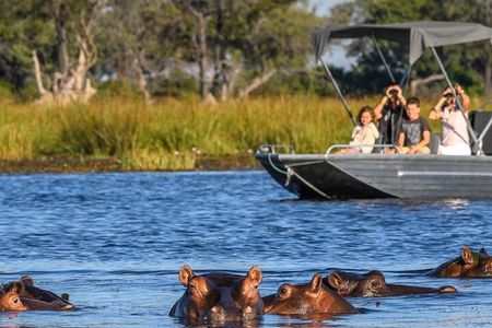 Chobe Day Trip