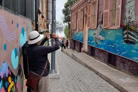 3-Day Private Tour Santiago, Valparaiso and Cajon del Maipo