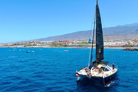 Tenerife Whale Watching in Exclusive 12 seats Chillout Catamaran