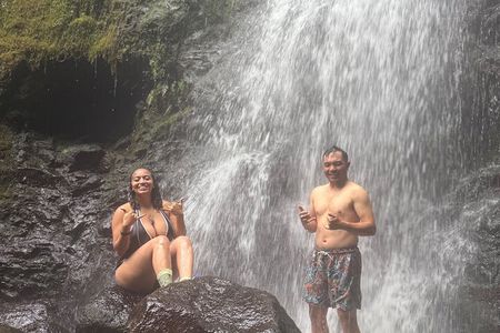 Hike to a Tropical Waterfall - pick up included