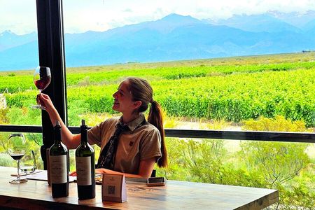 Discover Uco Valley Luxury Tour with Expert Guide Sommelier