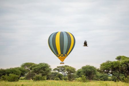 Arusha: 4-Day Big five Safari & Amazing Balloon experience