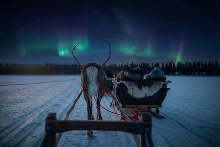 Reindeer Sleigh Ride Across the Night in Apukka Resort Rovaniemi