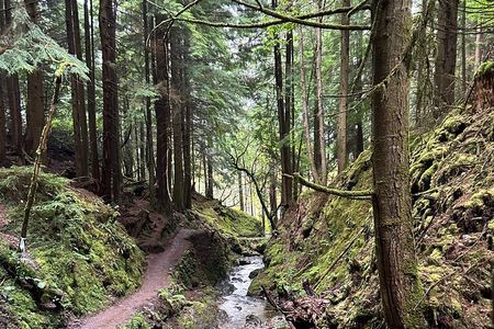 E-Bike Tour to Puck's Glen and Hidden Waterfalls