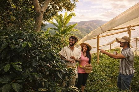 Private Half-Day Coffee Tour at Family Farm Close to Medellín!
