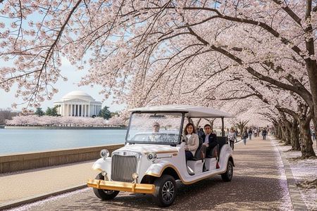 Washington DC Monument's Cherry Blossom Guided E-Cart Tour