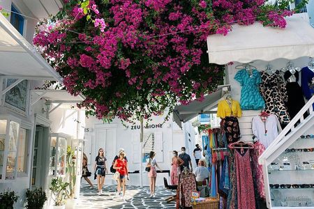 Private Mykonos Highlights Customizable Tour Pick Your Time