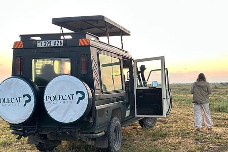 5-Day Private Luxury Safari from Zanzibar to Northern Tanzania