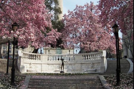 Mount Vernon & The Millionaires, 2 hour walking tour