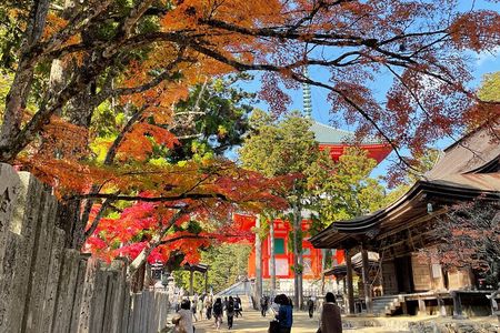 Koyasan Tour: Okunoin, Kongobuji & Garan with Certified Guide