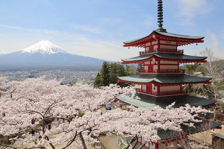 Private Mount Fuji Tour: Scenic Views, Lakes & Local Culture