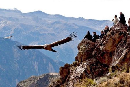Full-Day Colca Canyon Tour with Lunch