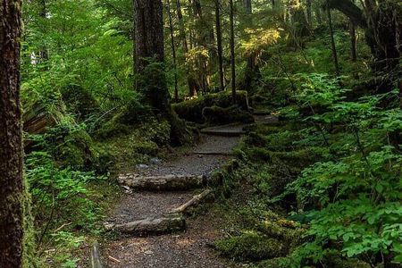 3 Hour Small Group Rainforest Eco Tour