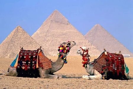 Cairo By Bus - Pyramids, Sphinx &Egyptian Museum,Lunch – Hurghada