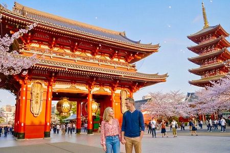 Private Walking Tour in historical Tokyo - Ueno, Asakusa, Emperor