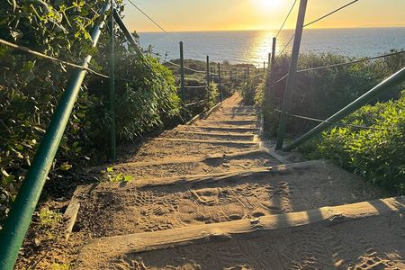 Guided Coastal Hike and Ecology Tour in Dana Point