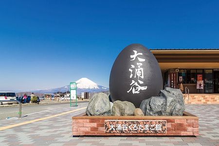 One Day Hakone and Mount Fuji Area Tour from Tokyo