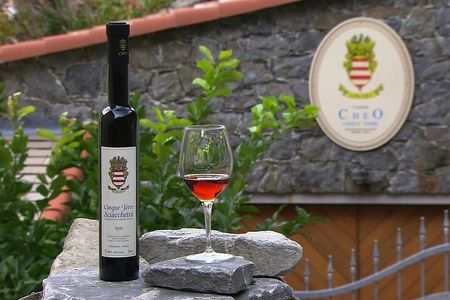 Wine Tasting Experience at Torre Bertram