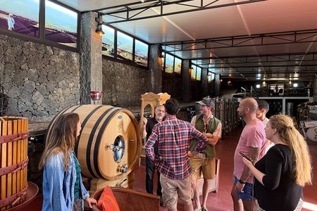 Family Winery Tour and Tasting in Lanzarote