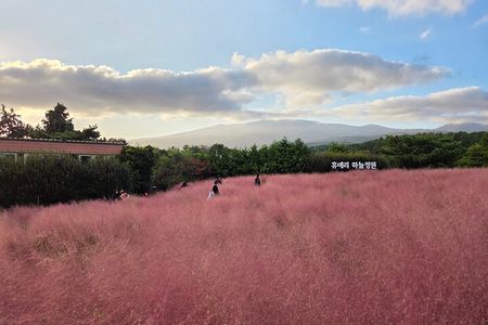 Jeju South-West UNESCO Tour & Hallasan