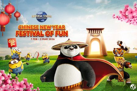  Singapore Universal Studios Experience Pass