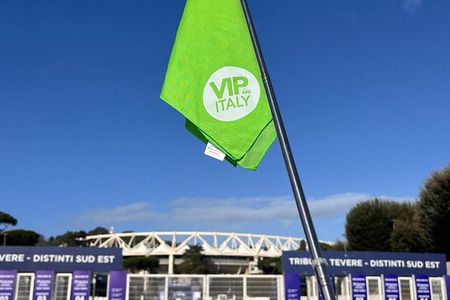 Olympic Stadium Tour with Expert Guide in Rome 