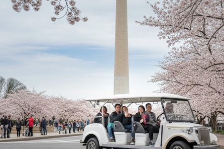 Washington DC Monument's Small Group Guided Tour & Cherry Blossom