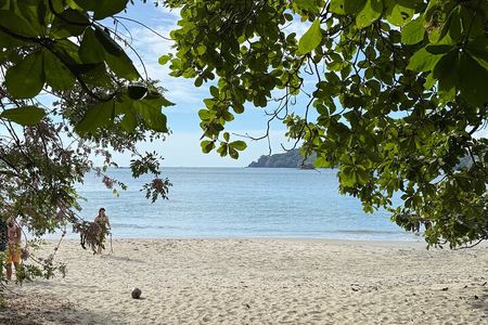From San José: Private Manuel Antonio Day Trip & Oceanfront Lunch